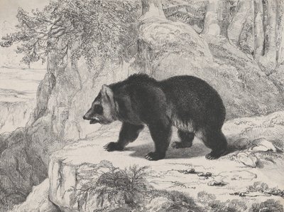 Mississippi Bjørn, 1836. af Antoine Louis Barye