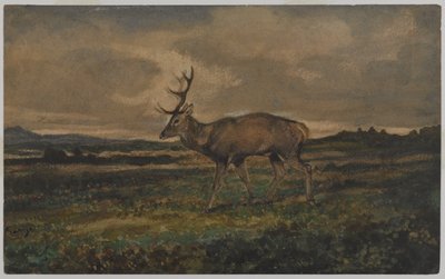 Hjortevandring (wc på papir) af Antoine Louis Barye