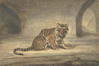 Tiger, 1810-75. af Antoine Louis Barye