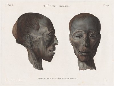 Beskrivelse af Egypten: Theben. Hypogæerne Vol. II, Pl. 49 af Antoine Maxime Monsaldy
