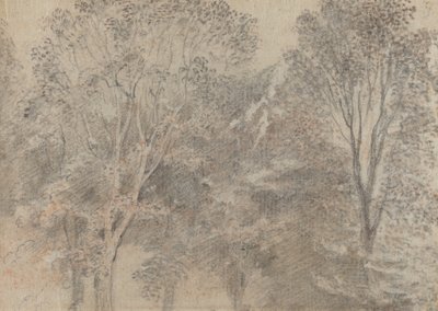 Trætoppe [verso] af Antoine Watteau