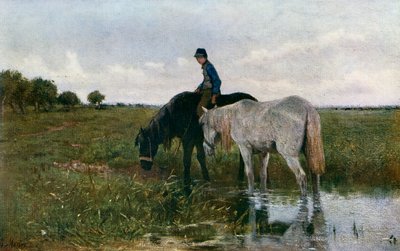 Vandende heste, 1871, 1912. af Anton Mauve