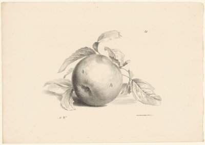 Appel Frugt (serietitel) af Anton Weiss
