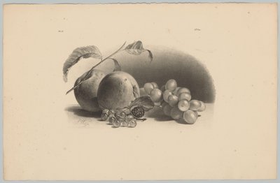 Æbler, bær, brombær og vindruer Blomster- og frugtstudier (...) 3. afsnit (serietitel) af Anton Weiss