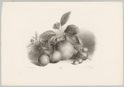 Blomster, nektariner og hasselnødder Blomster- og frugtstudier (...) 10. afsnit (serietitel) af Anton Weiss