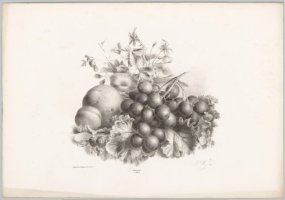 Blomster, fersken, nektarin, vindruer og brombær Blomster- og frugtstudier (...) 10. afsnit (serietitel) af Anton Weiss