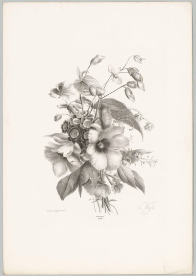 Forskellige blomster Blomster- og frugtstudier (...) 10. afsnit (serietitel) af Anton Weiss