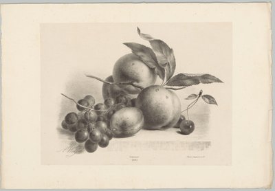 Druer, blomme, ferskner og kirsebær Blomster- og frugtstudier (...) 10. afsnit (serietitel) af Anton Weiss