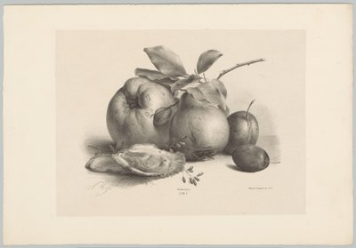 Frugt, blommer og østers Blomster- og frugtstudier (...) 10. afsnit (serietitel) af Anton Weiss