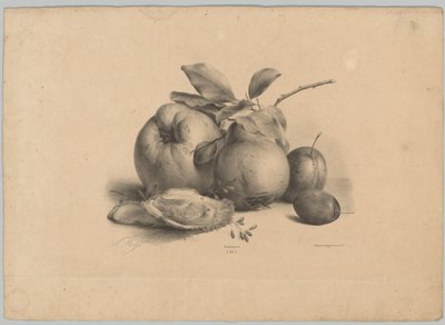 Frugt, blommer og østers Blomster- og frugtstudier (...) 10. afsnit (serietitel) af Anton Weiss