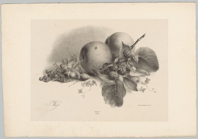 Fersken, bær, hasselnødder og brombær Blomster- og frugtstudier (...) 10. afsnit (serietitel) af Anton Weiss
