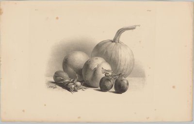 Græskar, ferskner, abrikos, blommer og hasselnødder Blomster- og frugtstudier (...) 3. afsnit (serietitel) af Anton Weiss