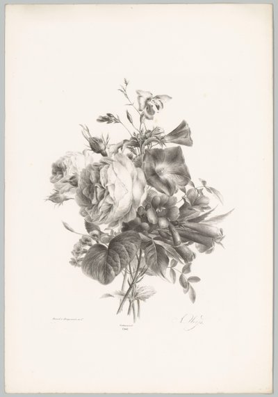 Roser og kalkformede blomster Blomster- og frugtstudier (...) 10. afsnit (serietitel) af Anton Weiss
