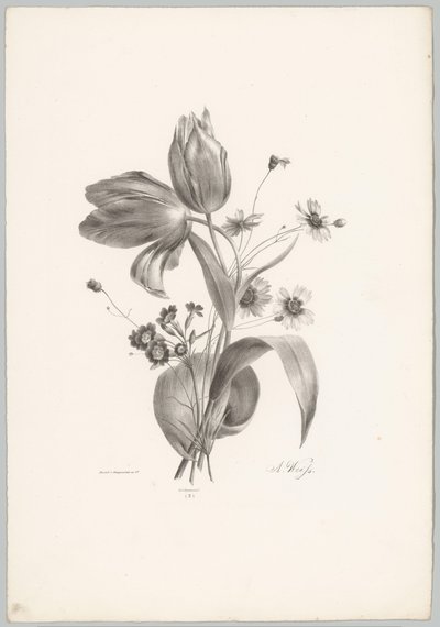 Tulipaner og tusindfryd Blomster- og frugtstudier (...) 10. afsnit (serietitel) af Anton Weiss