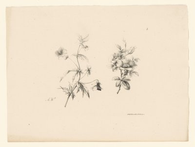 to blomster Blomster og frugter (serietitel) af Anton Weiss