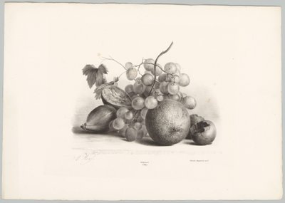 Figner, druer og appelsin Blomster- og frugtstudier (...) 10. afsnit (serietitel) af Anton Weiss