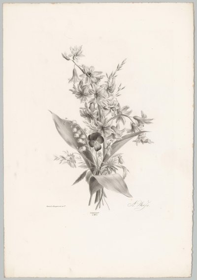 Stedmoderblomst og hyacint og klokkeformede blomster Blomster- og frugtstudier (...) 10. afsnit (serietitel) af Anton Weiss