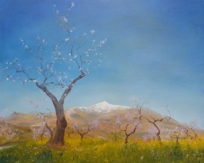 Mandelblomst med snedækkede Sierra Nevada-bjerg, 2016 af Antonia Myatt