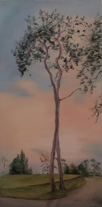 Tapeley Park træer, 2013 (olie på lærred) af Antonia Myatt