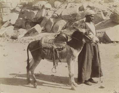 Bourier og Bouriquer, Egypten af Antonio Beato