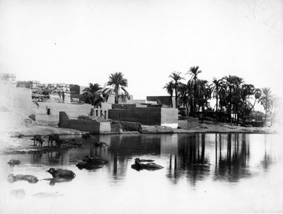 Luxor set fra en nilbåd, ca. 1860-80 af Antonio Beato