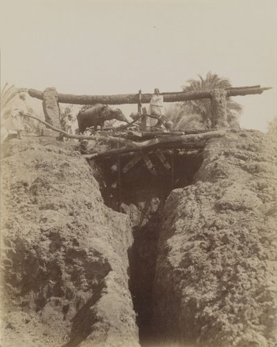 Sehaquieh, Egypten af Antonio Beato