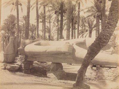 Statue af Ramses ved Saqqara, ca. 1870