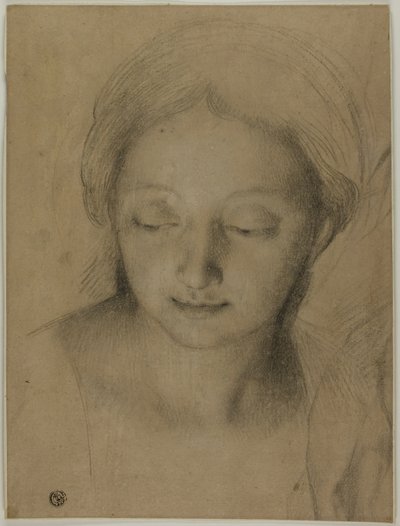 Hovedet af en kvinde af Antonio Cavallucci