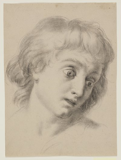 Hovedet af en dreng af Antonio Cavallucci