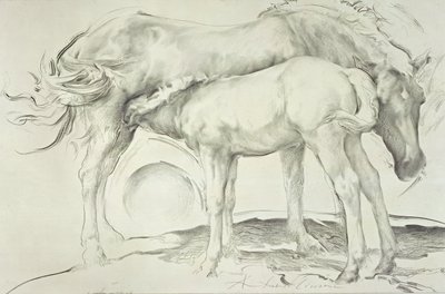 Horses at Coolmore, 1990 (kul på papir) af Antonio Ciccone