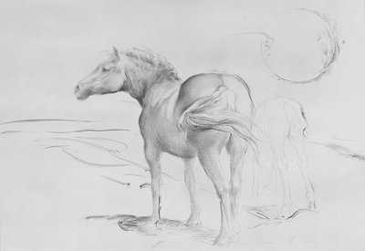 Horses at Coolmore, 1990 (kul på papir) af Antonio Ciccone