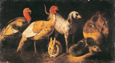 Kalkunhøns, hunde, kaniner og pindsvin af Antonio Maria Vassallo