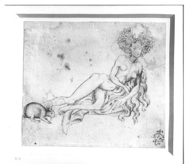 Allegory of the Lust (pen og blæk på papir) (s/h-foto) af Antonio Pisanello