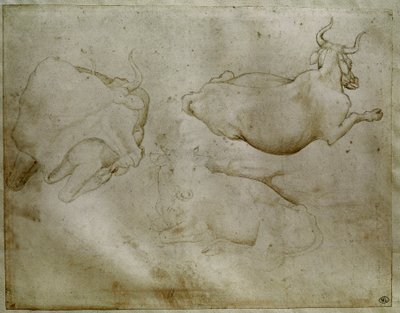 To køer og en enebær. Tegning af Antonio di Puccio Pisano dit Pisanello (1395-1455). Scroll, metalspids. Højde: 17,6 cm. Louvre, Cabinet des medailles af Antonio Pisanello
