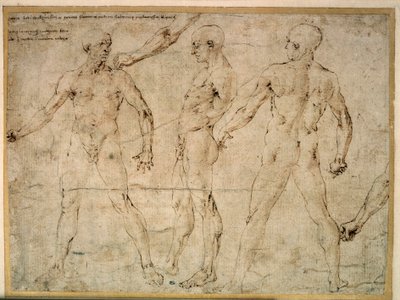 Tre nøgne mænd. Tegning af Antonio Pollaiuolo (Pollaiolo) (1432-1498) af Antonio Pollaiuolo