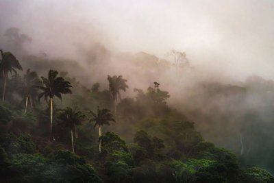 Corcovado XIX, 2020 (digitalt foto) af Antonio Schubert