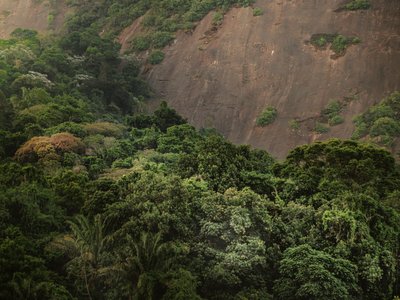 Corcovado XV, 2020 (digitalt fotografi) af Antonio Schubert