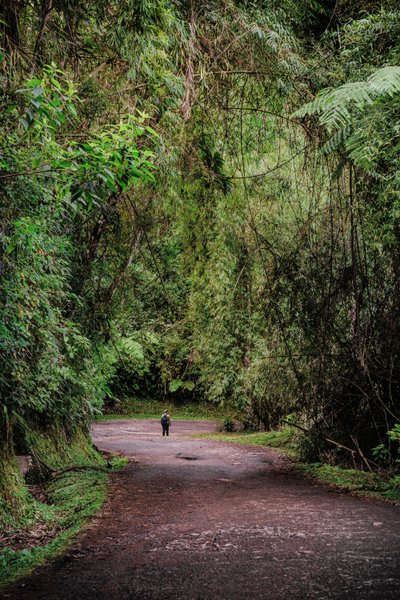 Mantiqueira XLIII, 2015 (digitalt fotografi) af Antonio Schubert