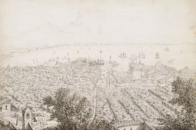 En panoramaudsigt over Napoli af Antonio Senape