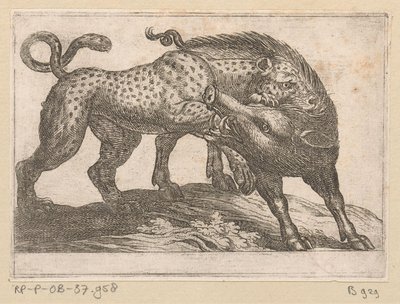 En leopard kæmper mod et vildsvin Kampdyr (serietitel) af Antonio Tempesta
