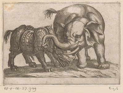 Et næsehorn kæmper mod en elefant Kampdyr (serietitel) af Antonio Tempesta