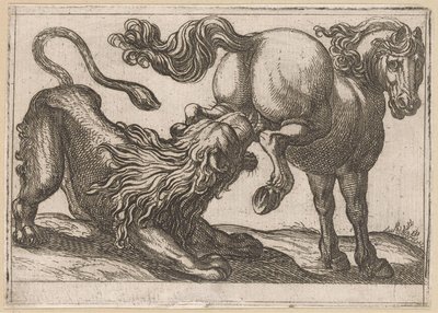 En hest sparker en løve Kampdyr (serietitel) af Antonio Tempesta