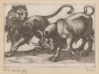 En tyr angriber en løve Kampdyr (serietitel) af Antonio Tempesta