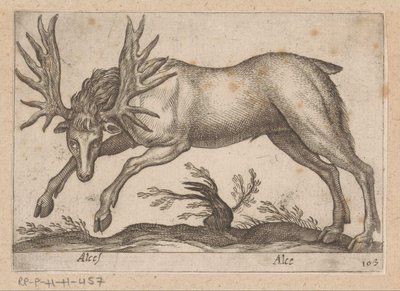 Eland Moose/ Moose (titel på objekt) Dieren en fablewezens (serietitel) Ny samling af verdens mest nysgerrige dyr (serietitel) af Antonio Tempesta