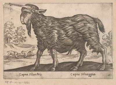 Ged med ét horn Capra Silvestris/ Capra Selvaggia (titel på objekt) Dieren en fablewezens (serietitel) Ny samling af verdens mest nysgerrige dyr (serietitel) af Antonio Tempesta