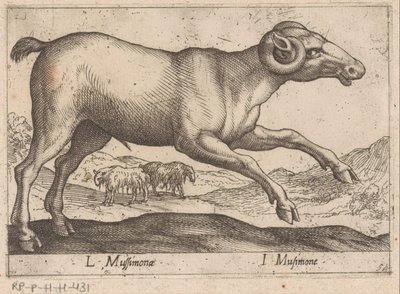 gedagtig L Mussimonae/ I Musimone (titel på objekt) Dieren en fablewezens (serietitel) Ny samling af verdens mest nysgerrige dyr (serietitel) af Antonio Tempesta