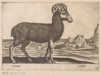 Ædelstene Cerinis / Ceruio (titel på objekt) Dieren en fabelwezens (serietitel) Nova-samling af de mest nysgerrige dyr i verden (serietitel) af Antonio Tempesta