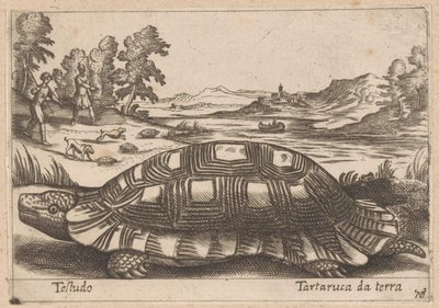 Landschildpad Testudo / Jordskildpadde (titel på objekt) Dieren en fabelwezens (serietitel) Nova samling af de mest nysgerrige dyr i verden (serietitel) af Antonio Tempesta