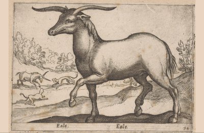 Hest med horn Eale/Eale (titel på objekt) Dyr og mytiske væsner (serietitel) Nova raccolta de li animali piu curiosi del mondo (serietitel) af Antonio Tempesta