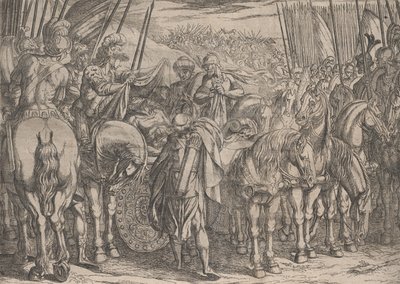 Plade 10: Alexander finder Darius